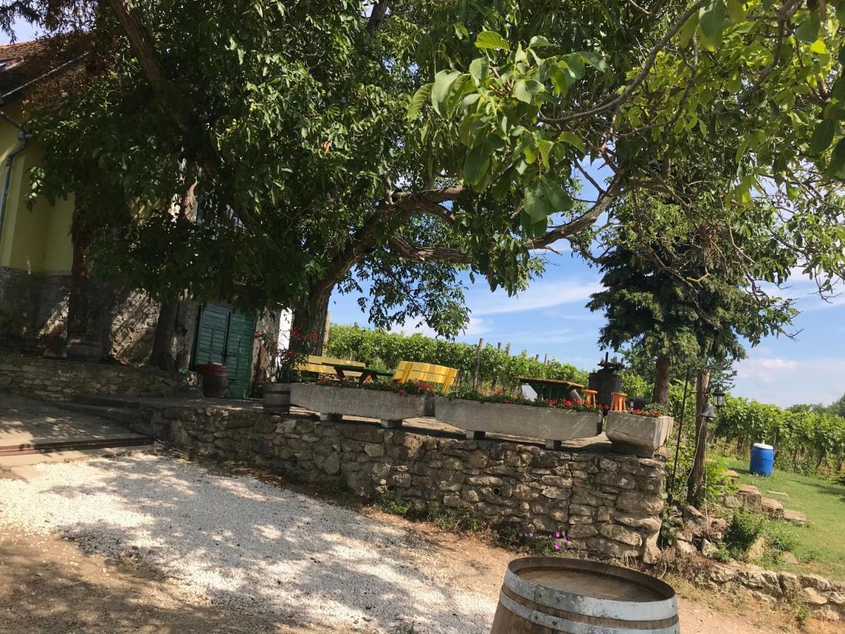 Guens Vendeghaz Hotel Szigliget Buitenkant foto