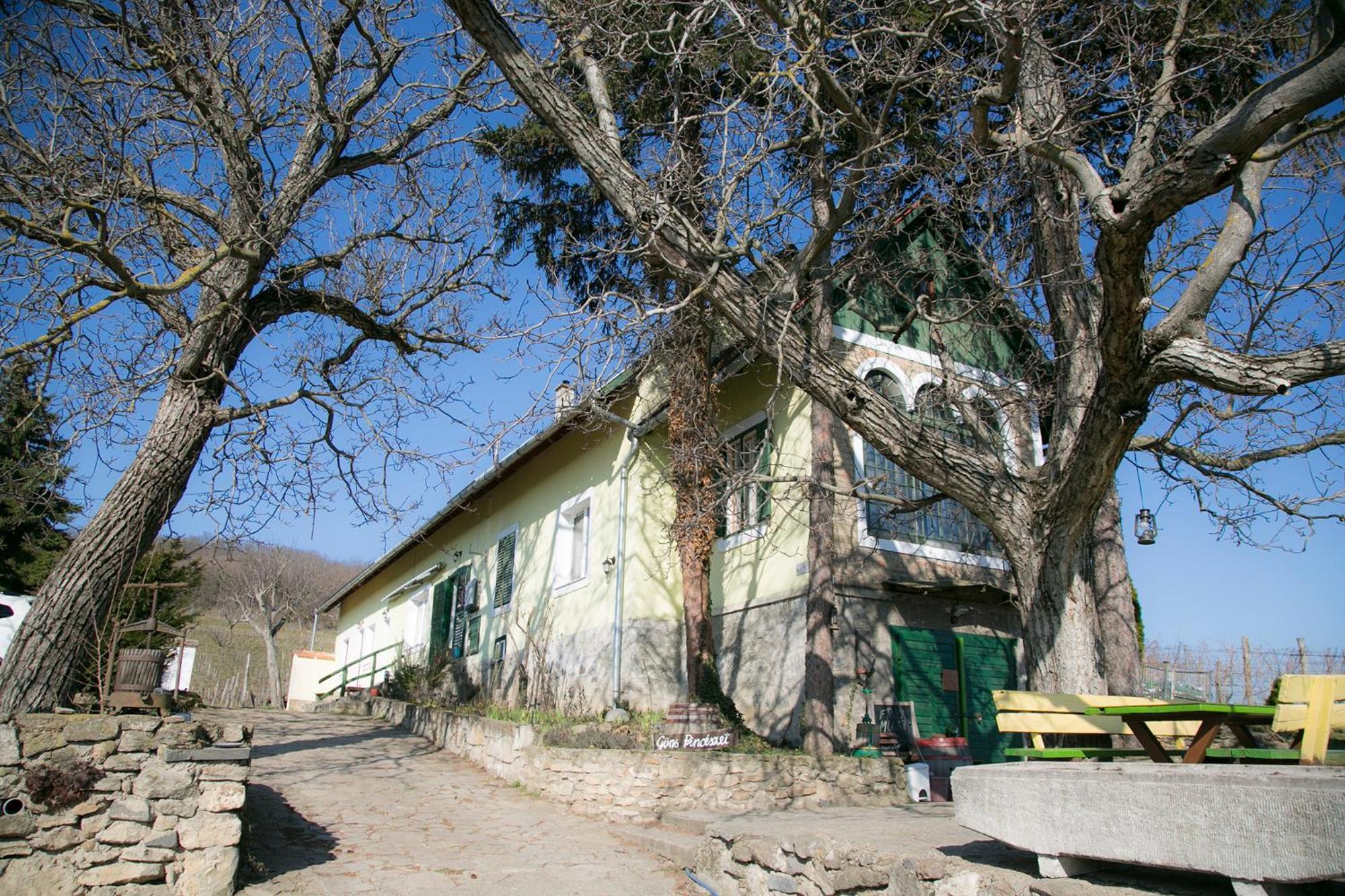 Guens Vendeghaz Hotel Szigliget Buitenkant foto